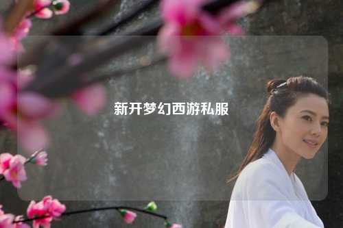 新开梦幻西游私服